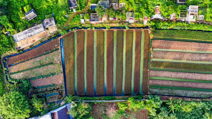 Exigencias del mercado internacional en agronegocio y sostenibilidad con Aldo Vendramin.